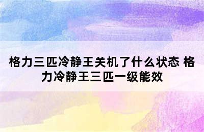 格力三匹冷静王关机了什么状态 格力冷静王三匹一级能效